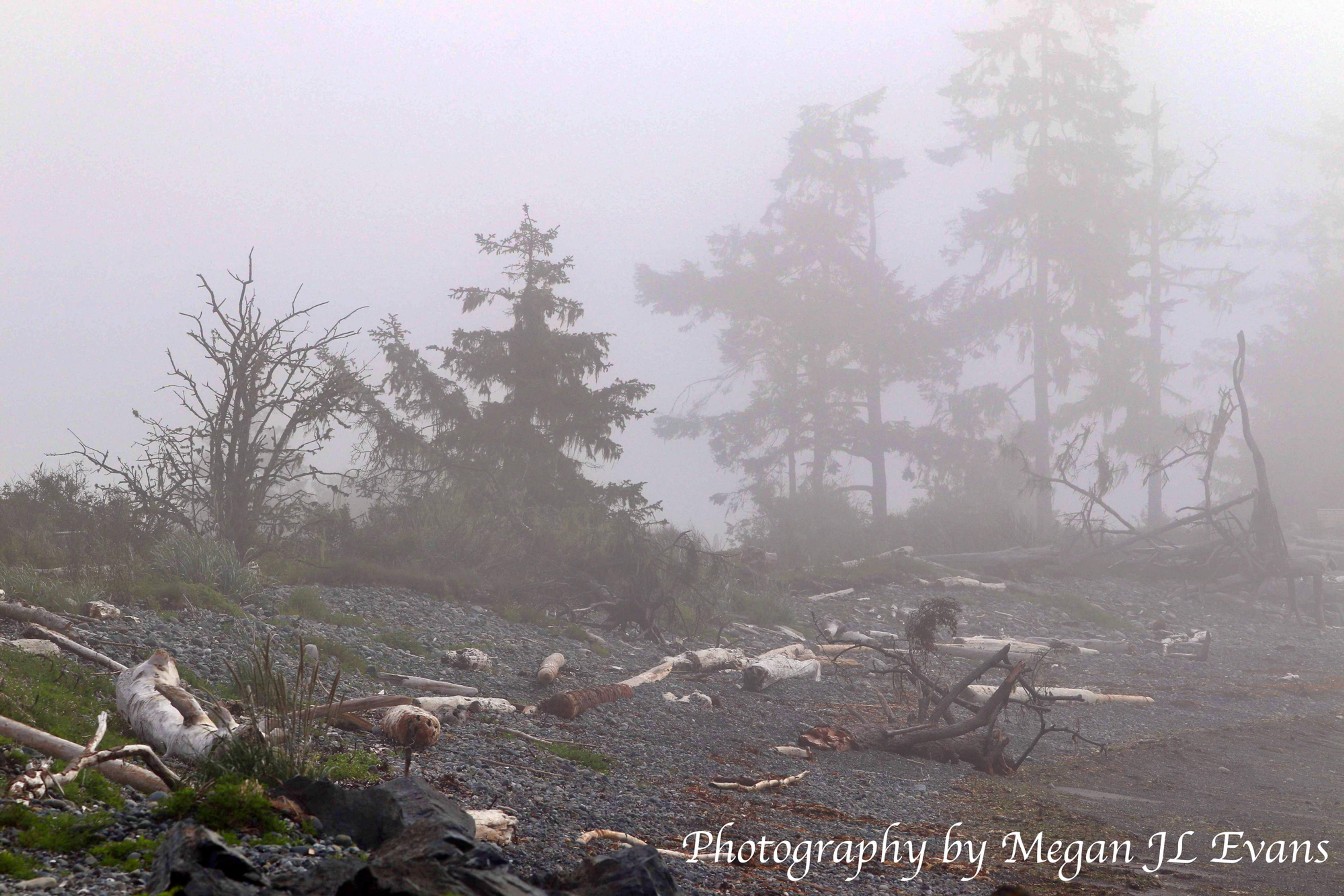 Blank Notecard - Misty Whiffin Spit
