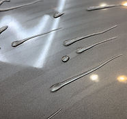 OPTIMO PRO2025D.jpeg