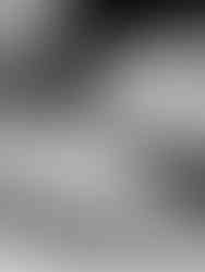 do everything in love Fineline Tattoo Schriftzug – romantische Tattoo Vorlage zum Download