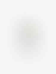 Logo Vorlage Boho Stil – handgezeichnetes fertiges Logo kaufen und für Branding nutzen