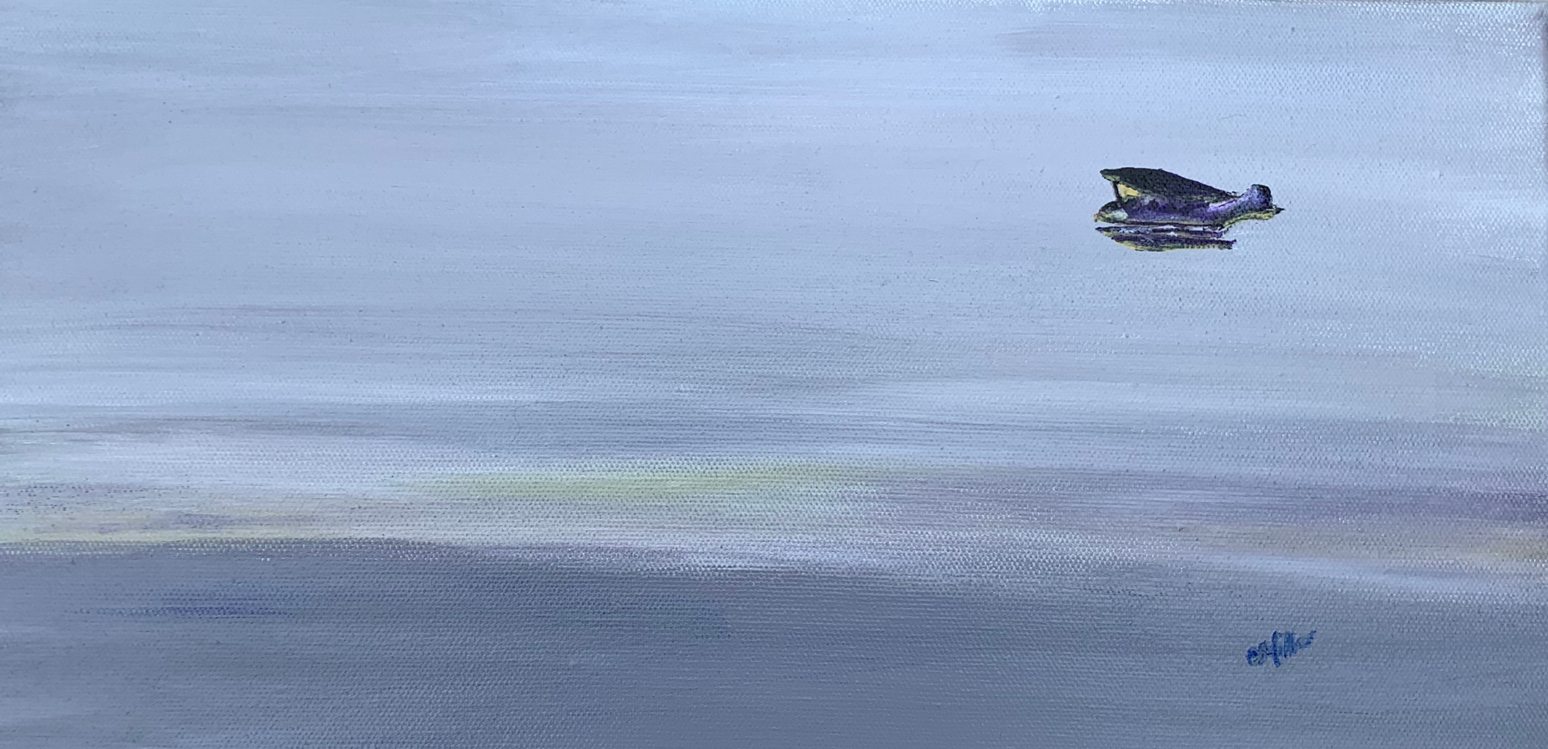 Summer Haze Flight