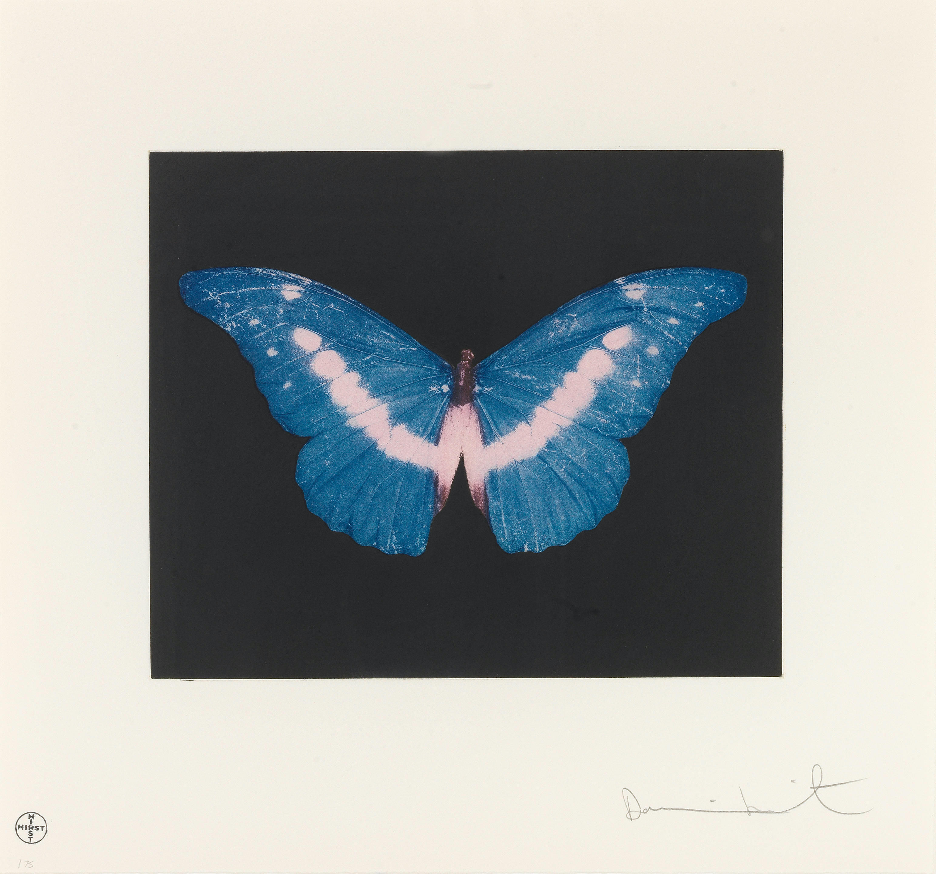 Damien Hirst To Belong Butterfly