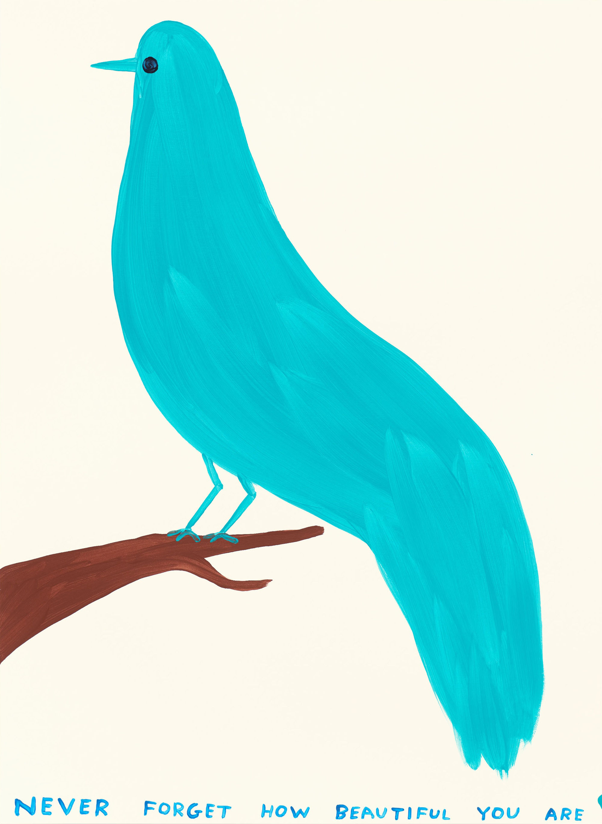 David Shrigley Never Forget How Beautiful You Are