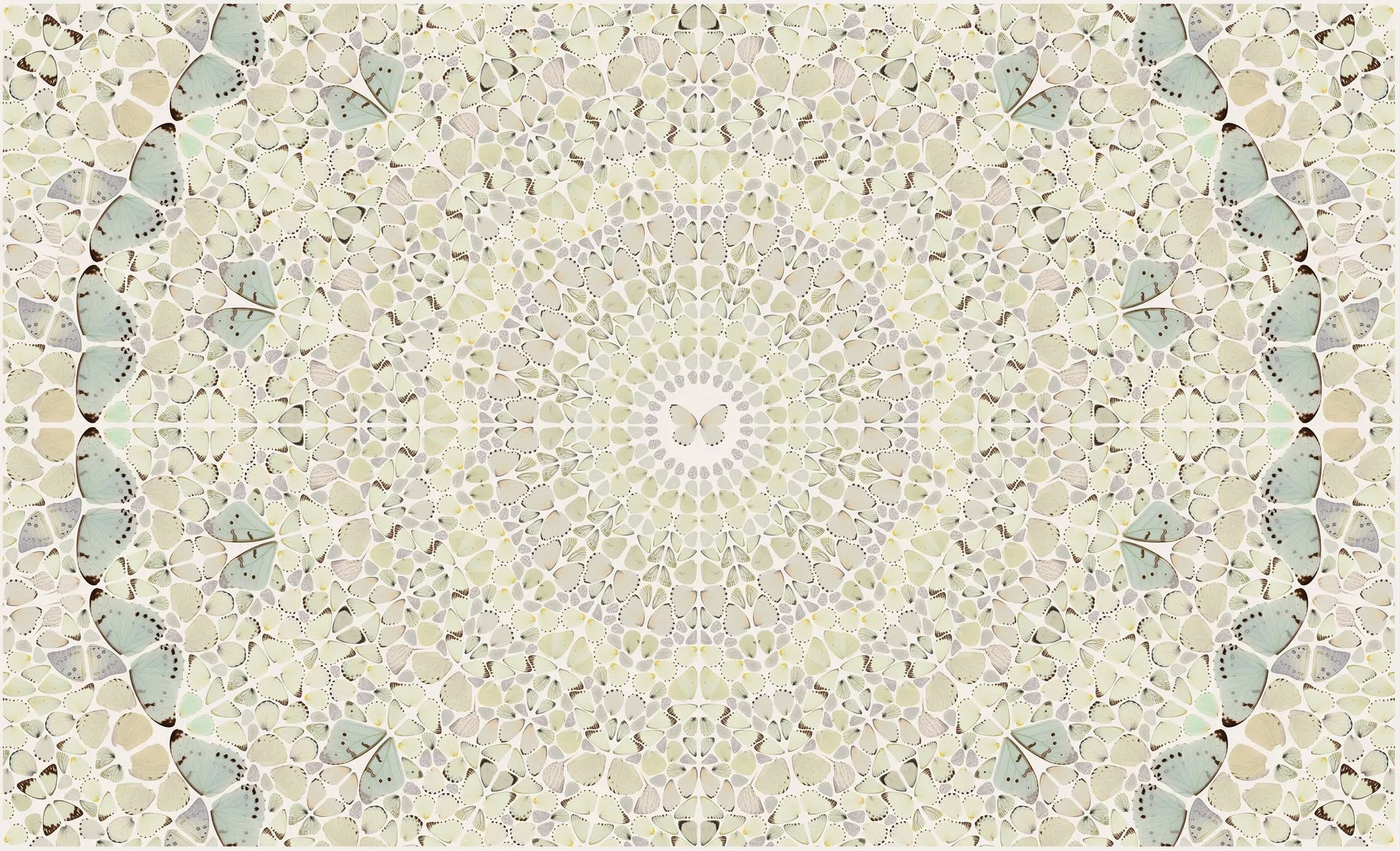 Damien Hirst Intricacy from the Kaleidoscopes, H18-5