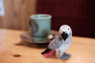 ヨウムの羊毛フェルト作品です。birddecoではインコやオウムやヨウムなどの鳥をメインに、猫や犬など動物をモチーフにした羊毛フェルトによる作品やオーダーメイド作品を掲載しています。
