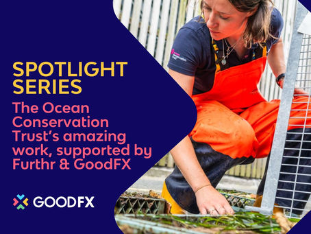 Spotlight Series: How The Ocean Conservation Trust is being supported by Furthr