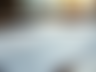 Expert Tips for Home Improvement Projects