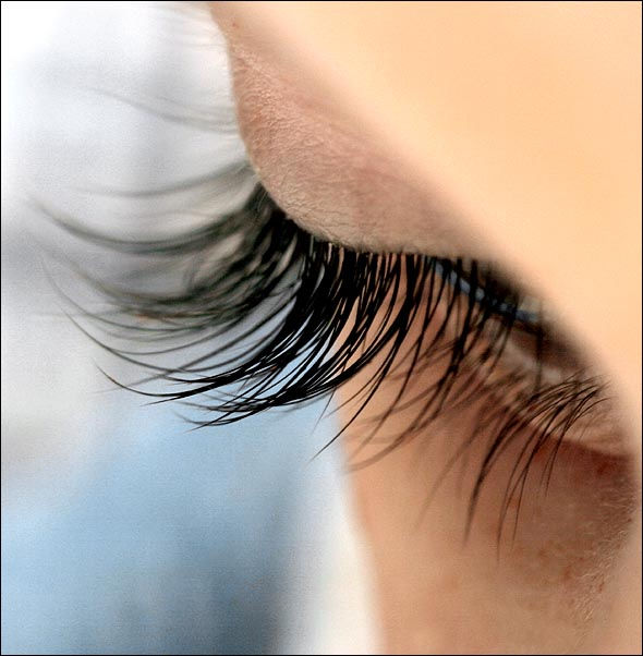 Eyelash Extensions by Ashley O'Boyle