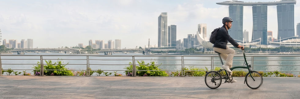 Brompton Homepage.jpg