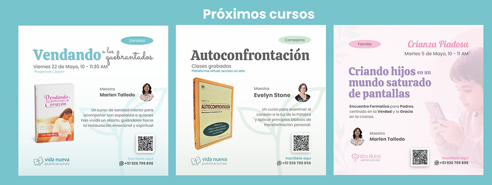 Portada Facebook PVN 2025.png