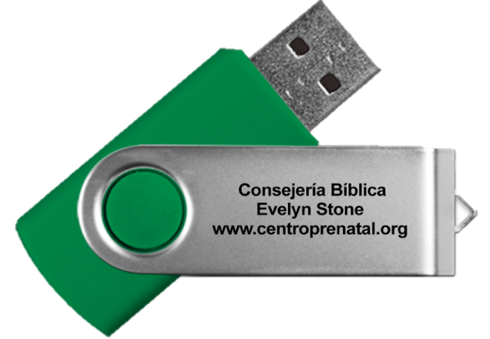 Miniatura: Consejería Bíblica -USB 32GB