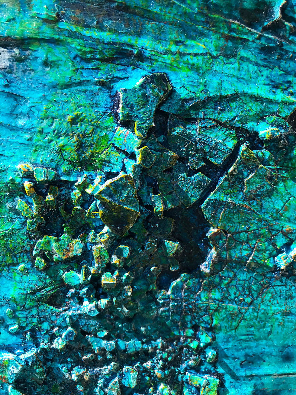 Miniaturbild: THE REEF
