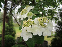 image012.jpg