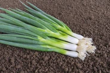 Dës Woch am Geméiskuerf - N°08 2023