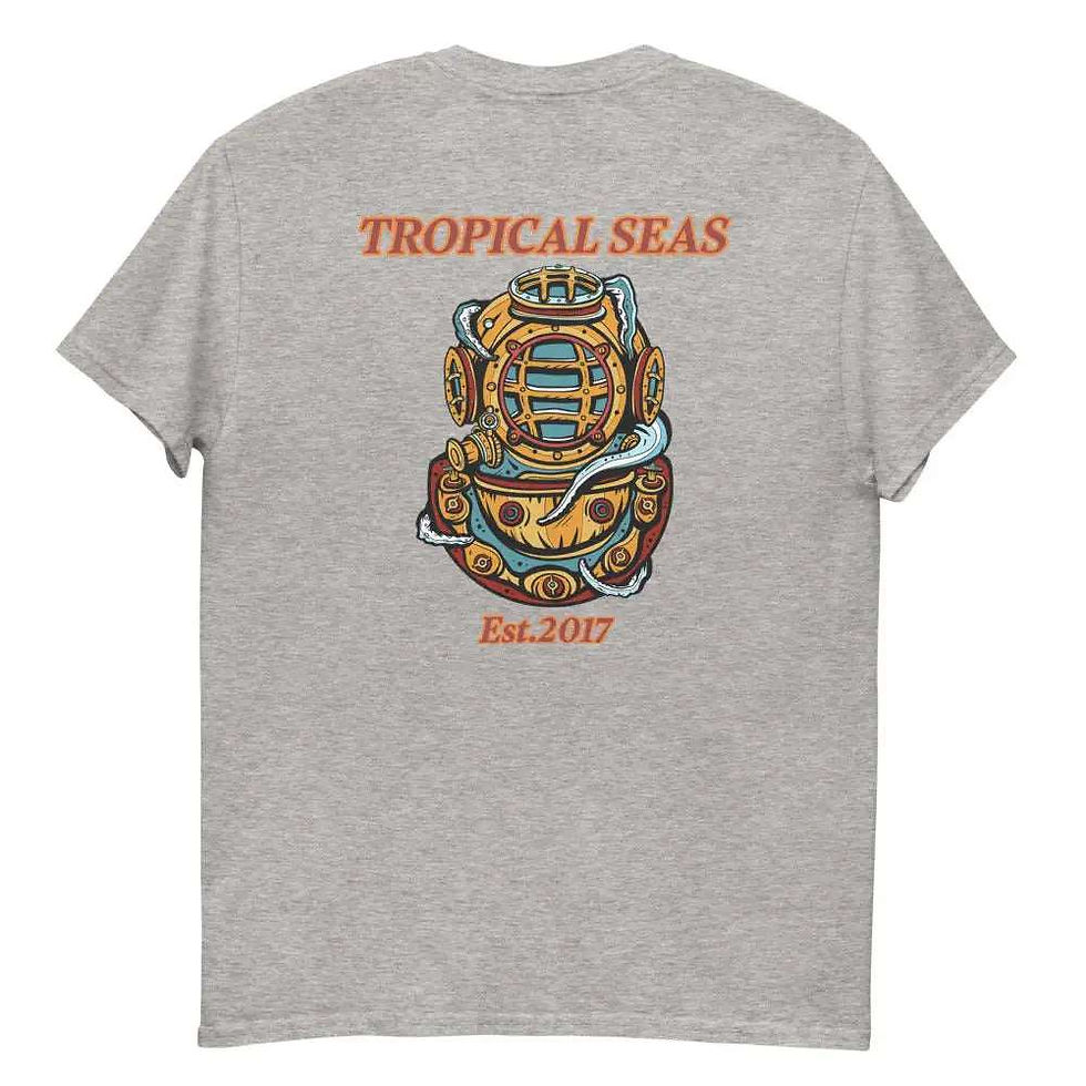 Miniatura: Holy Diver heavyweight tee