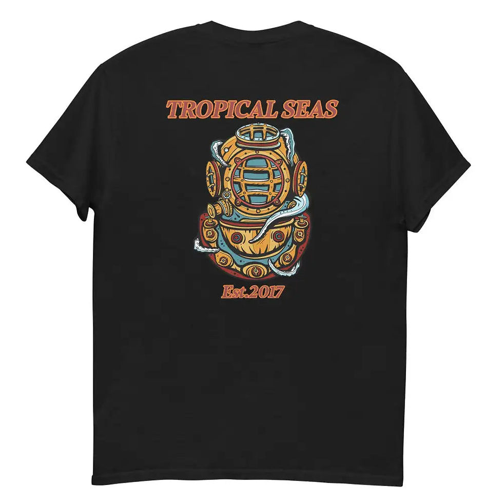 Miniatura: Holy Diver heavyweight tee