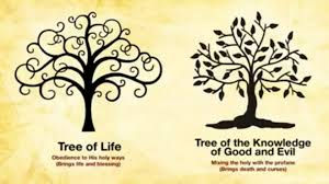 THE TREE OF LIFE I KNOW