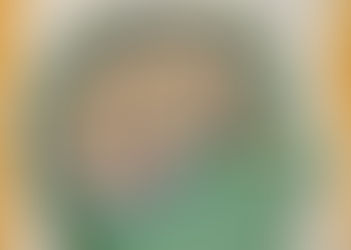 VOICE VOICES THE VOICE