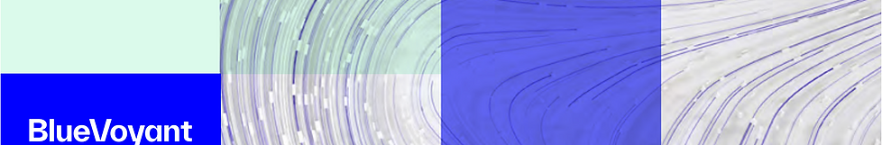 Supply Chain Defense BlueVoyant Spirity