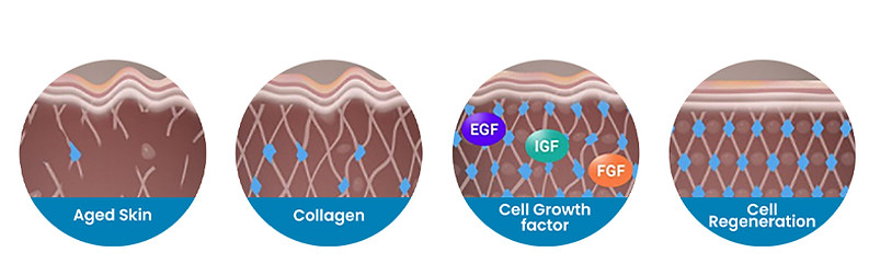 LIPOGEN A4.jpg