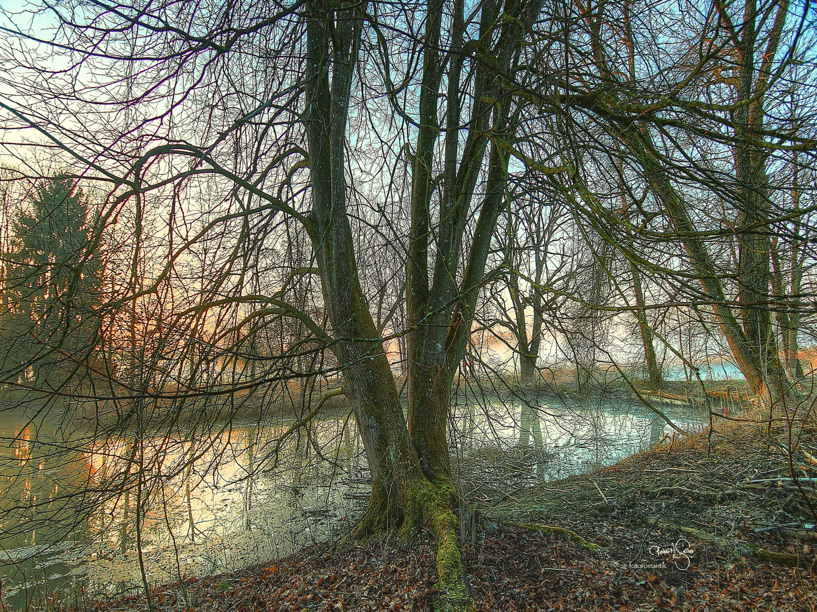 JB VII 8 Der Fischweiher s Kopie.jpg