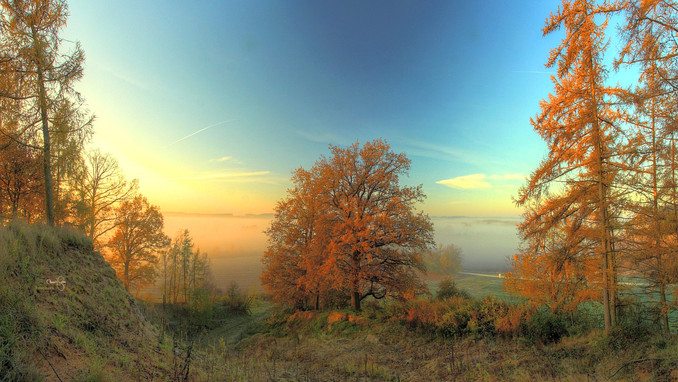 SO V 28s copia_editada.jpg