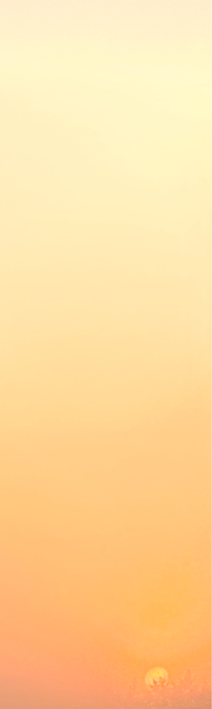 VDS VI 5 Jaune brillant_edited_edited_edited_edited_edited_edited.png