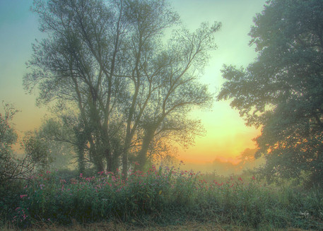 POVDS28 4_3 Sonnenaufgang i. Bruchwald Kopie.jpg