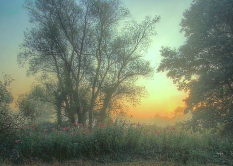 POVDS28 4_3 Sonnenaufgang i. Bruchwald Kopie.jpg