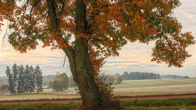 POSO20 4_3 Otoño Lima Copia 2_editado.jpg