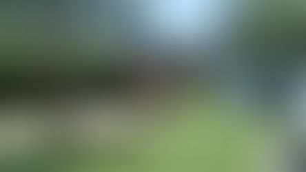 Colegios profesionales