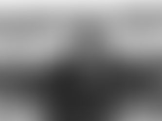 PRESIDENTES DESECHABLES