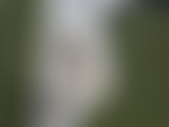 Wiring and Electronic Issues