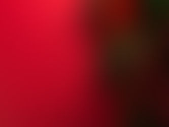 WANDReview Winter '25 Edition