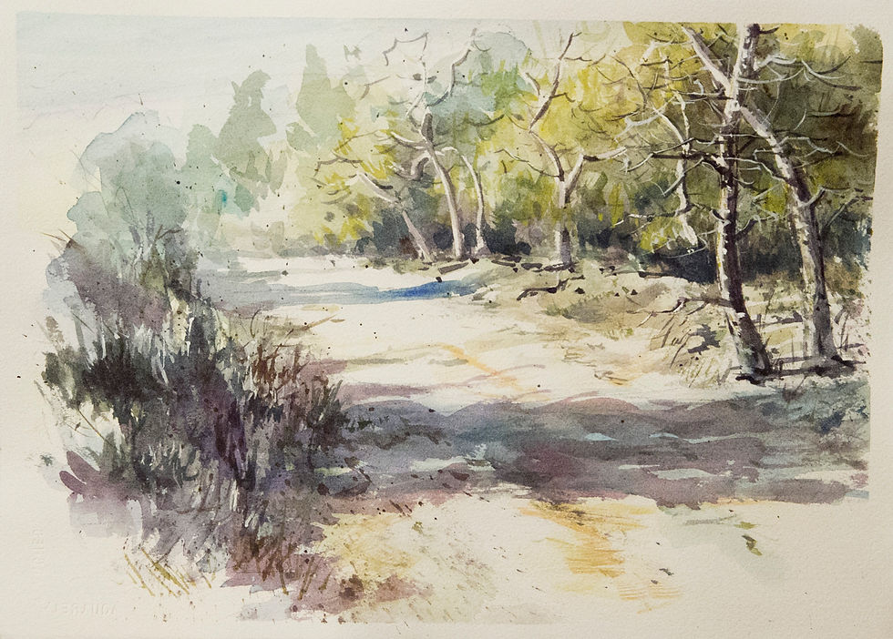 Dirt Road in the Wilderness