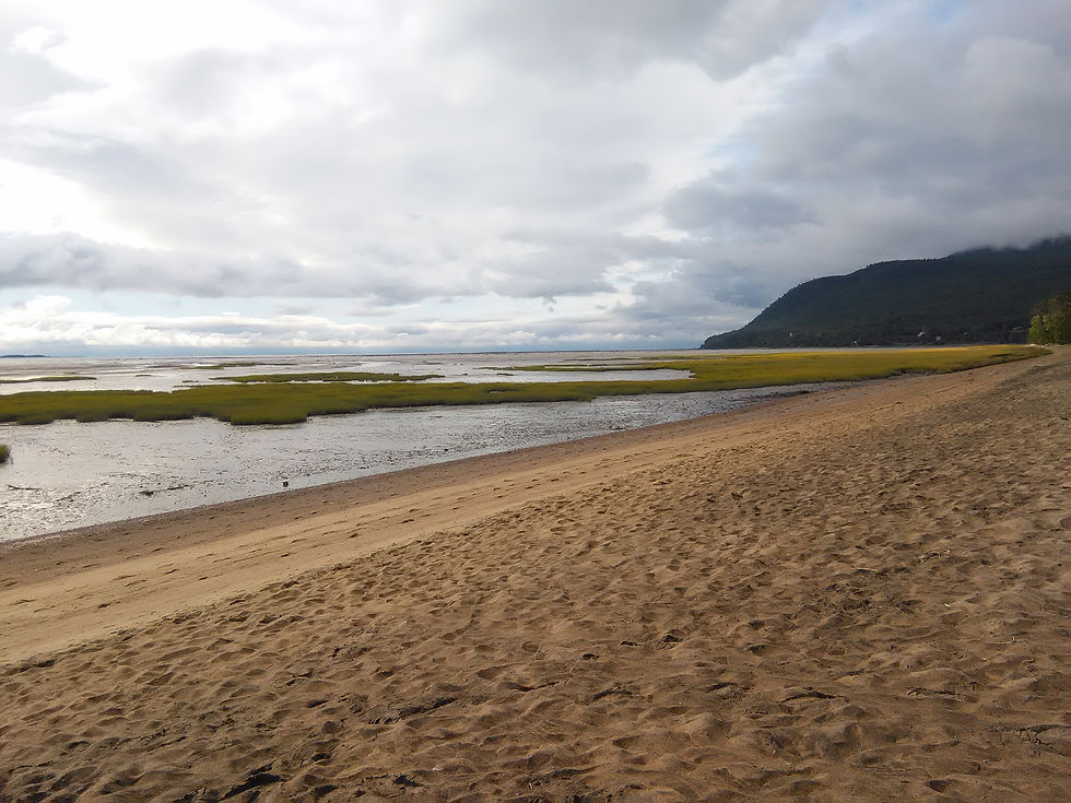 Baie Saint-Paul - marée haute