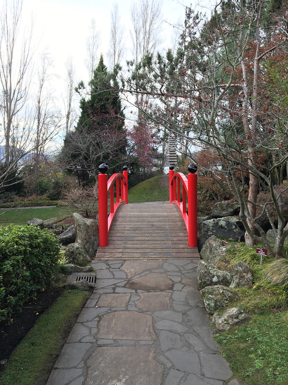 Royal Tasmanian Botanical Gardens, Hobart - July 2019