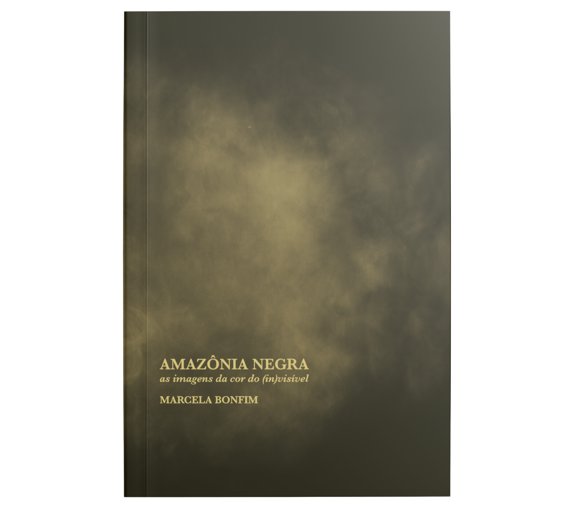 Amazônia Negra: as imagens da cor do (in)visível, de Marcela Bonfim