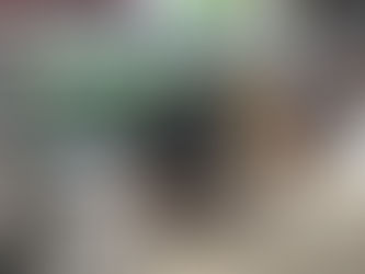 ロボット型 薪ストーブ(大型)の【おうち】が完成しました