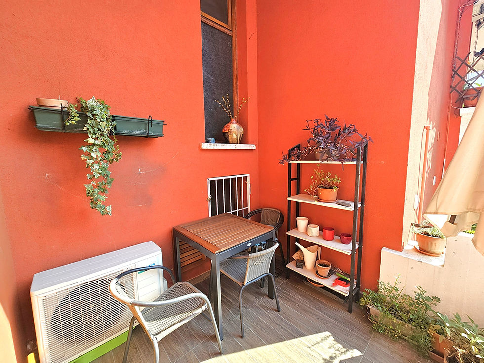 Miniatura: TREVISO