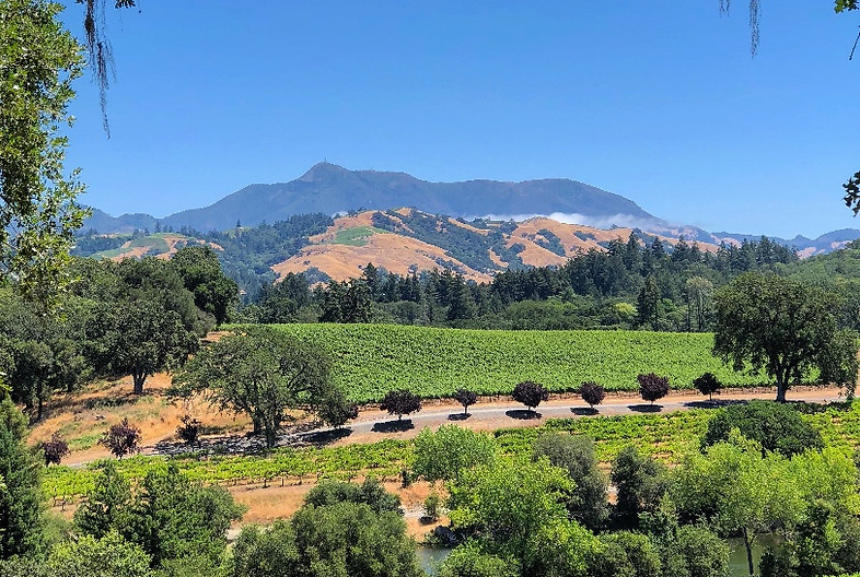 CONTACT Chalk Hill Residency