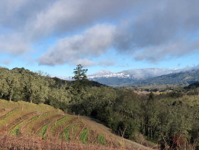 Winter Morning!