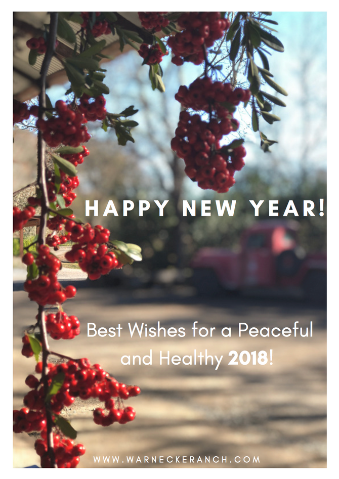 Happy New Year!