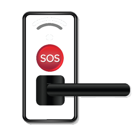 Salus Lock Tech Logo.gif