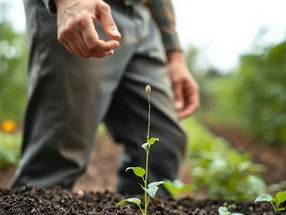 Where Are You Planting Your Seed?