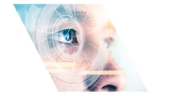 Asset 9@2x.png