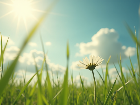 Exploring the Path to Holistic Health and Wellness