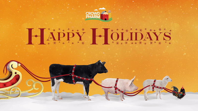 CP Sleigh 800.gif