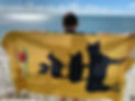 CPTowels3.jpg