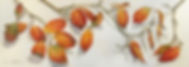 fullsizeoutput_468.jpeg